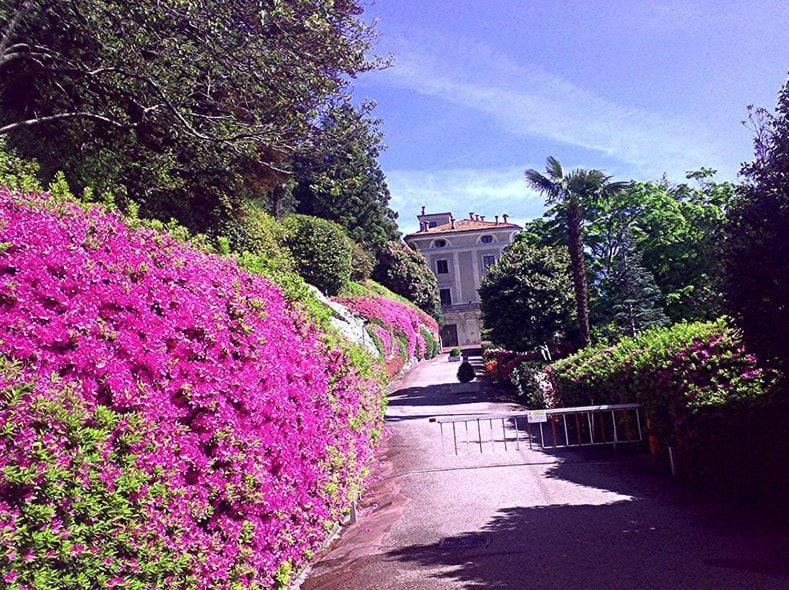 Gioia Apartamento Oggebio Exterior foto